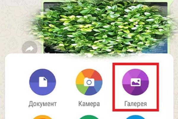 Сайт кракен через тор