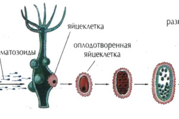 Кракен актуальная ссылка