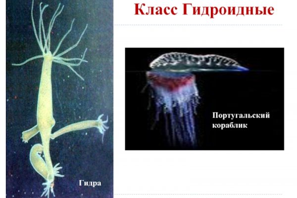 Где купить наркотиков