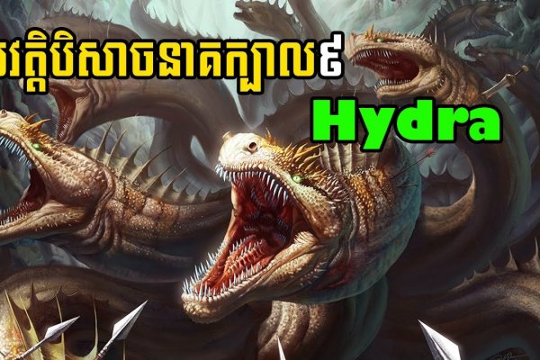 Что будет если зайти в кракен