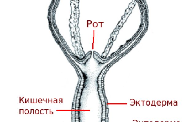 Войти на кракен