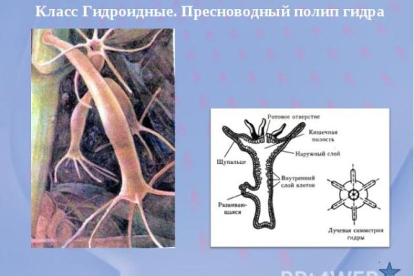 Кракен маркетплейс ссылка телеграмм