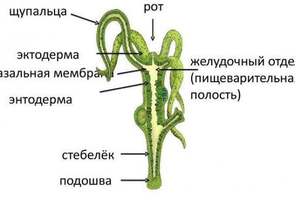 Кракен порошок