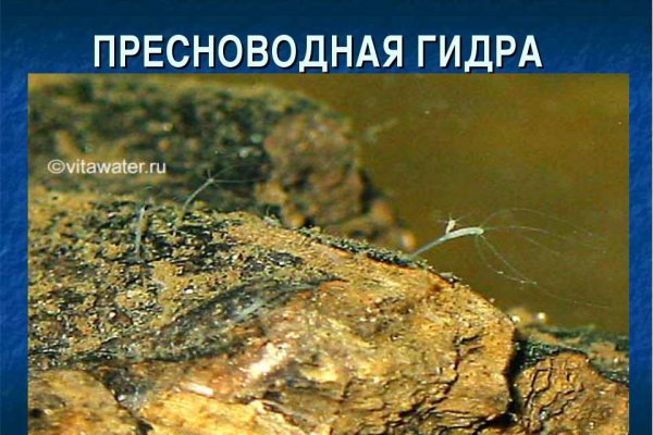 Пользователь не найден кракен даркнет
